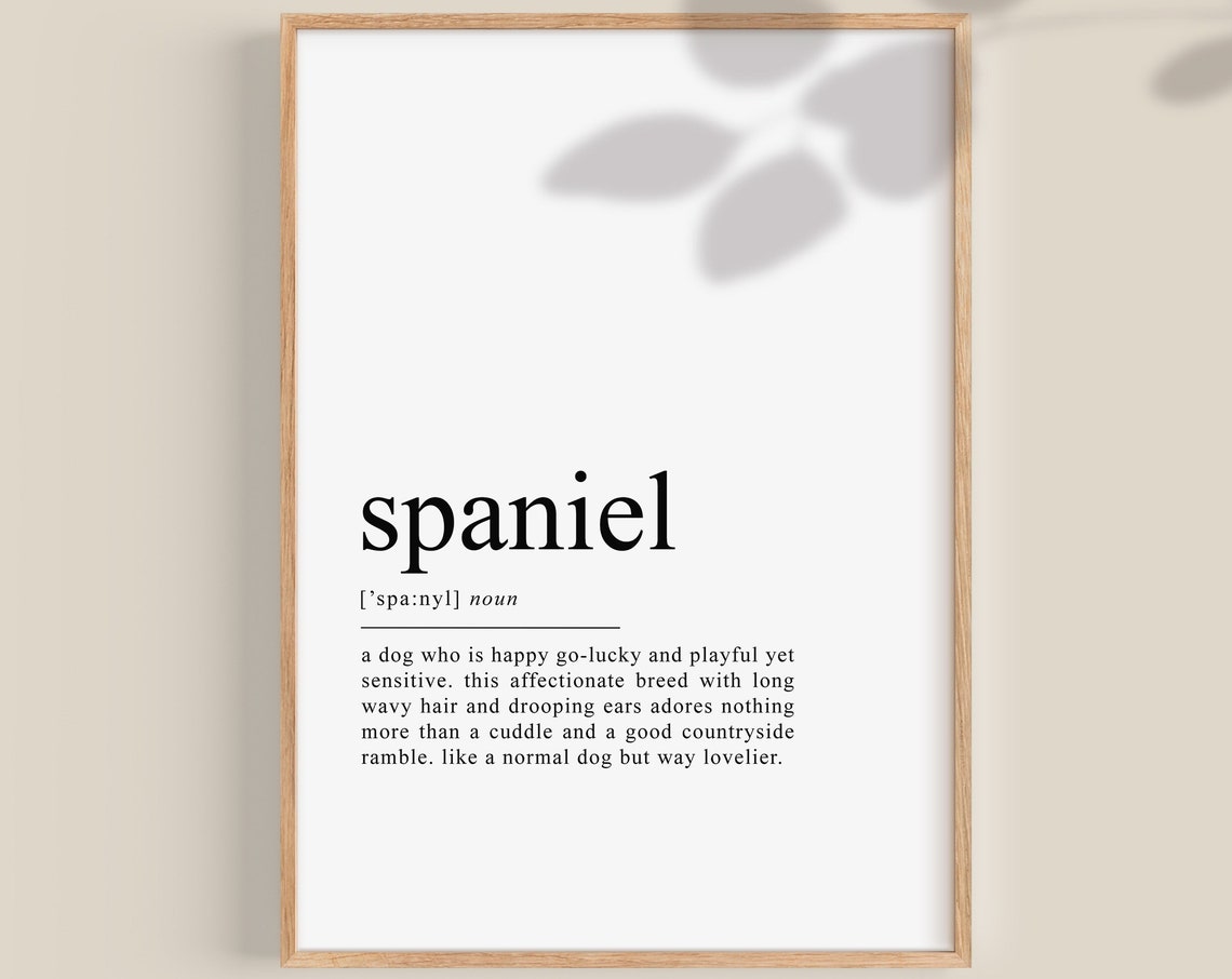 Spaniel Dictionary Definition Funny Dog Lover Quote Wall Poster