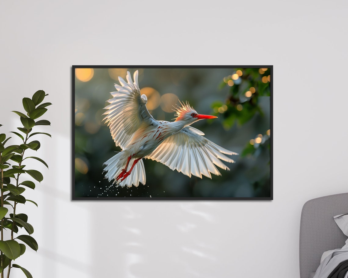 Crested Ibis Flying In Golden Light White Bird Wildlife Art Print - Image 4