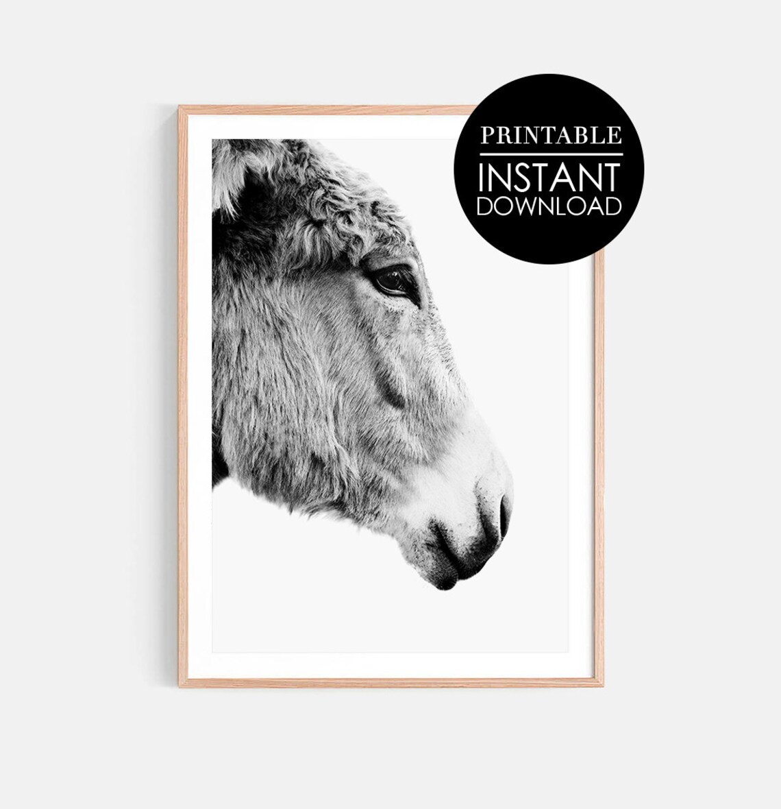 Donkey Portrait Black and White Farmhouse Animal Photo Art Poster