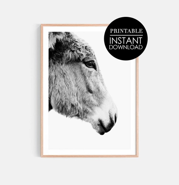 Black And White Donkey Print Modern Farmhouse Decor Nursery Wall Art Monochrome