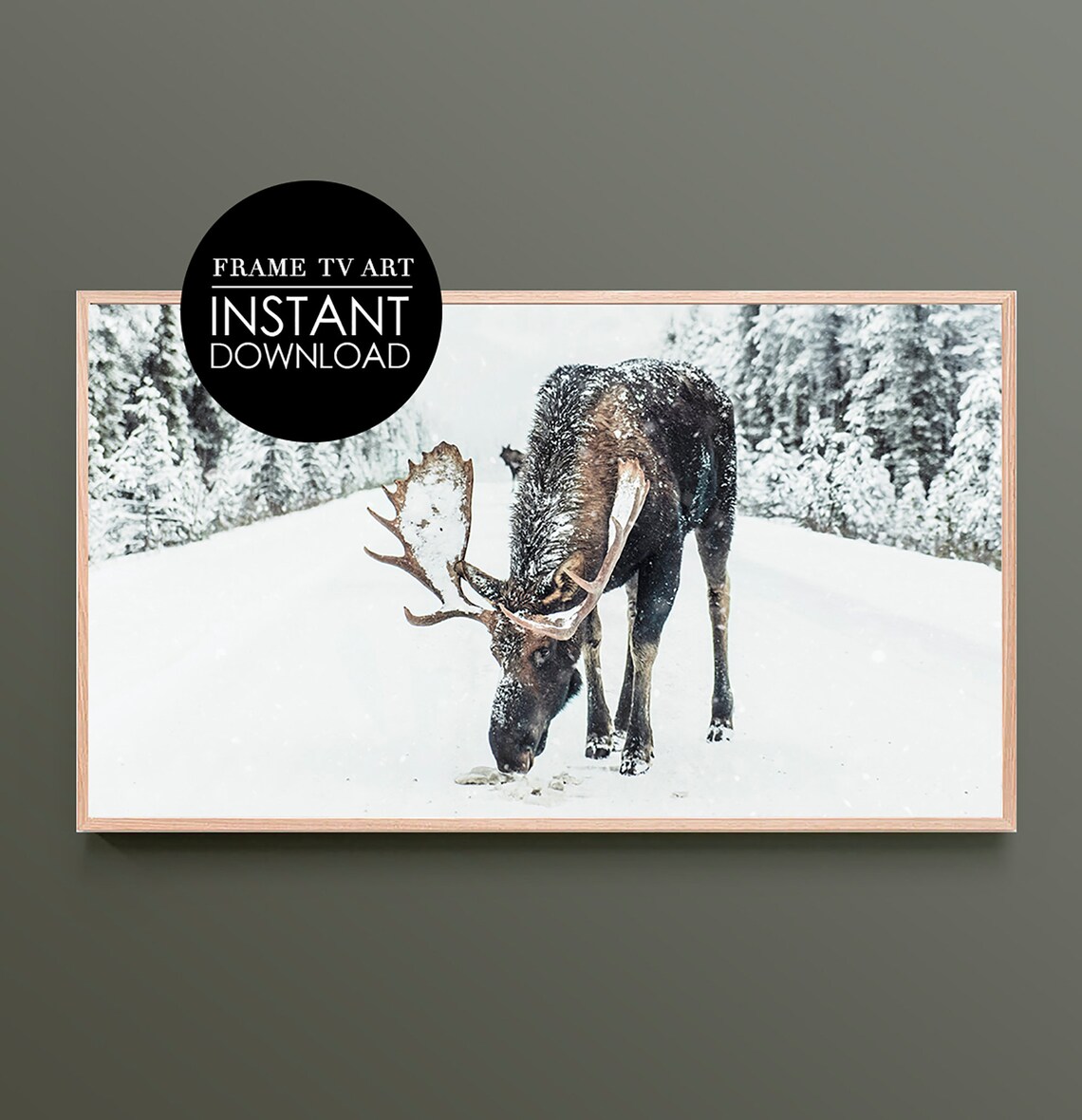 Bull Moose in Deep Snow Winter Wildlife Nature Photo Art Poster