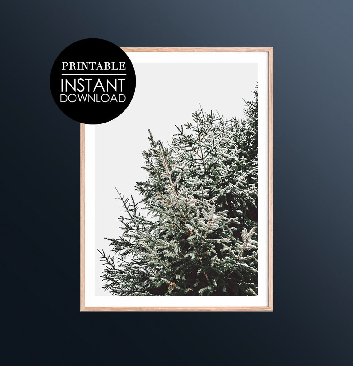 Snowy Evergreen Branches White Winter Minimalist Nature Poster