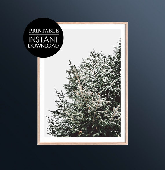 Large Tree Print Snowy Botanical Poster Decor Pine Winter Forest Greenery