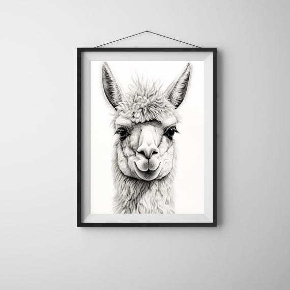 Charming Llama Portrait Art Aigenerated Minimalist Design 34 Vertical Ratio Black White Print Alpaca Poster Funny