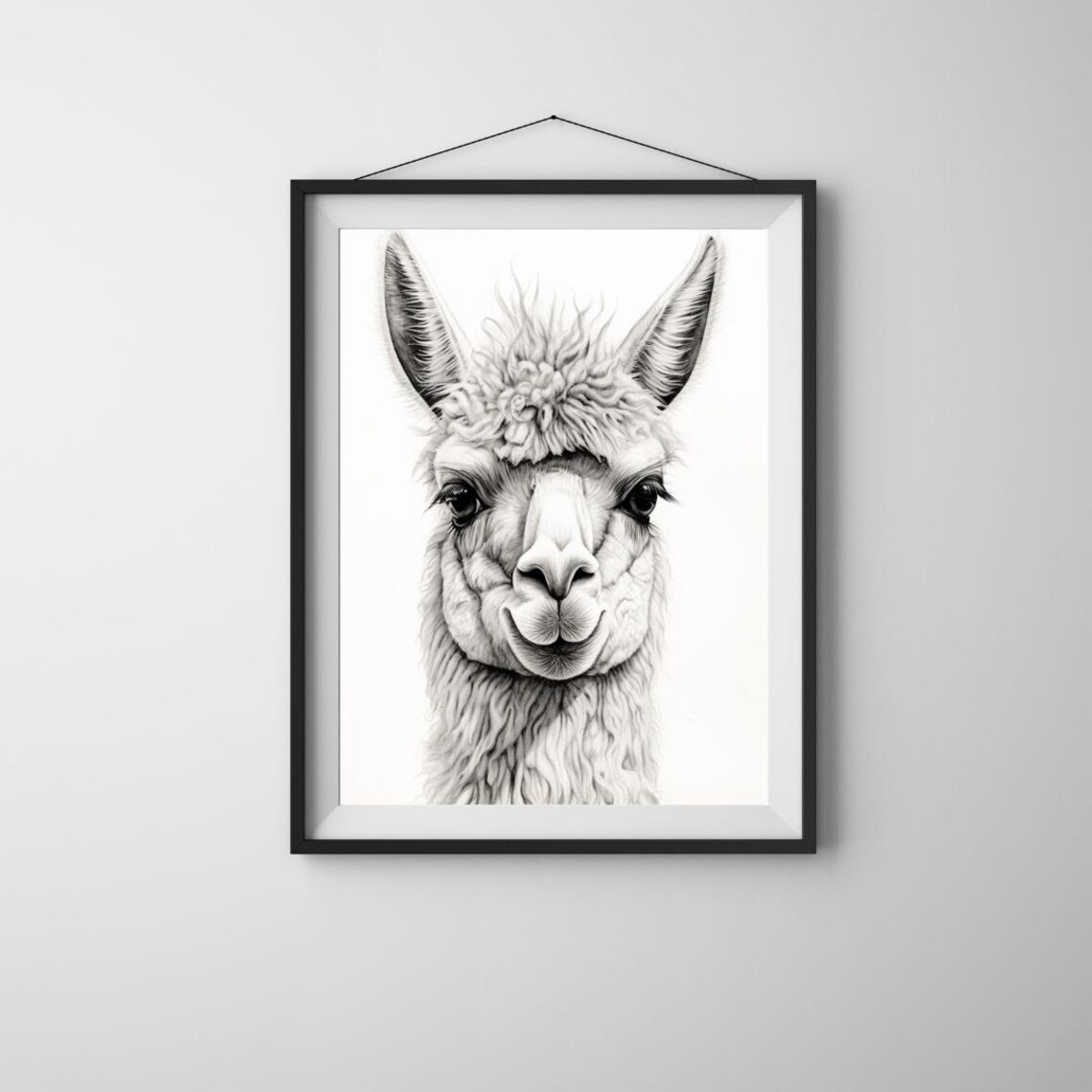 Striking Black White Llama Face Portrait Animal Photo Poster