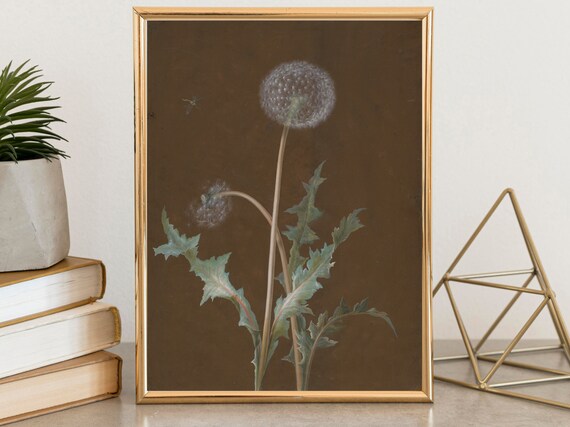 Dandelion Seed Head Butterfly Vintage Botanical Study Art Poster