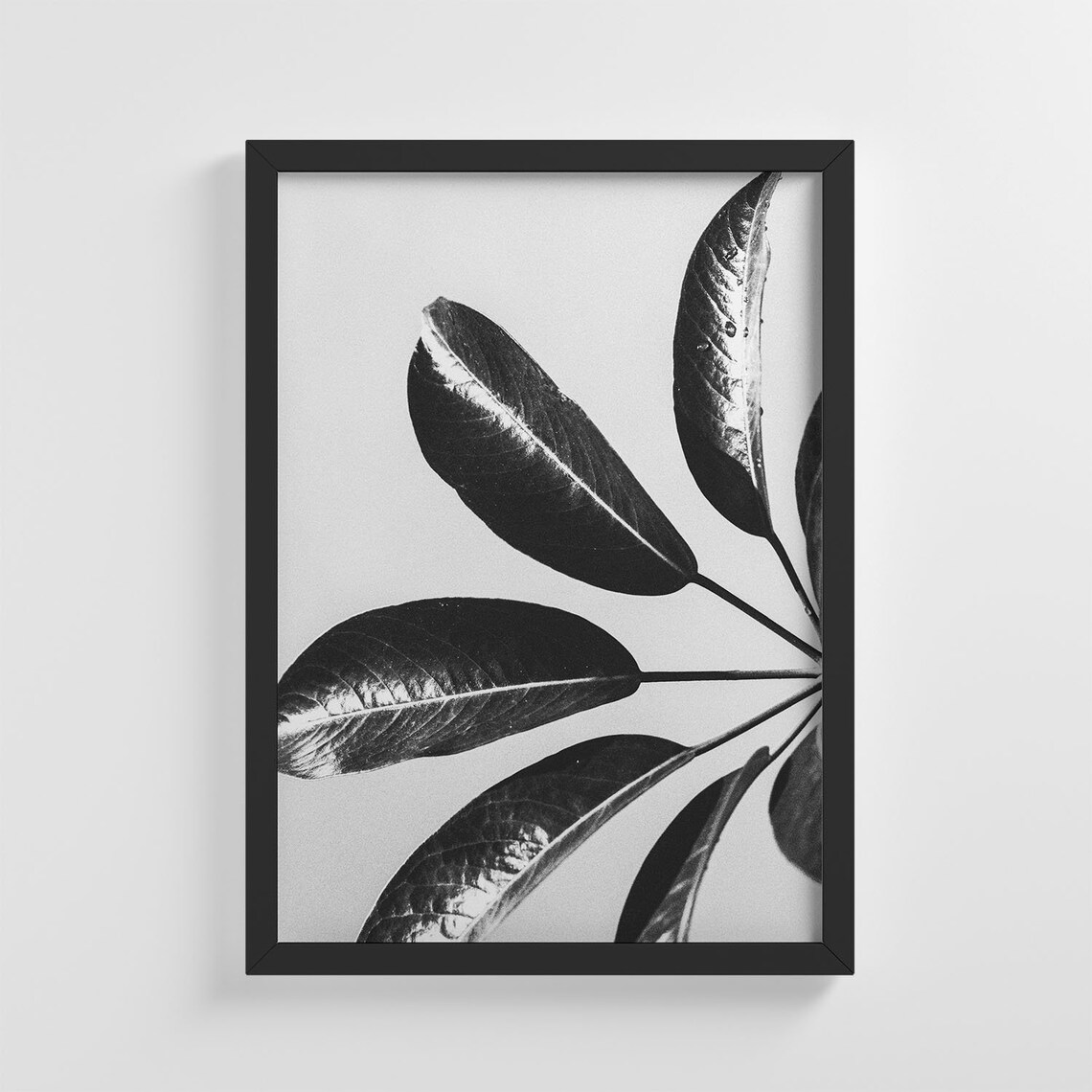 Black Flower Plant Leaves, Stylish Nature Art Print