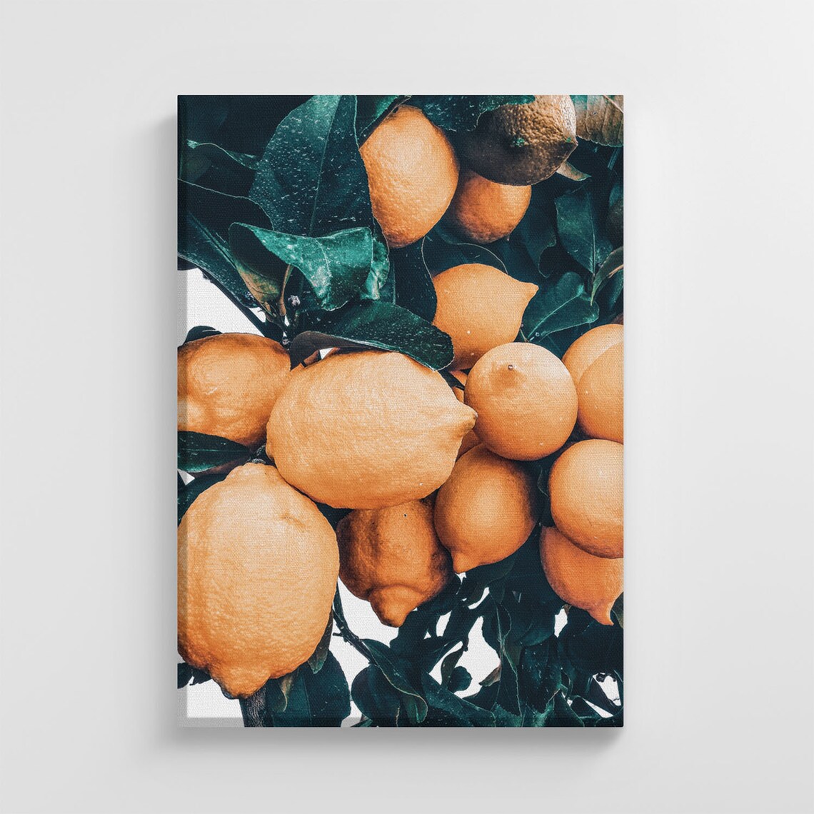 Lemon Citrus Tropical Fruit Art Print, Nursery Decor
