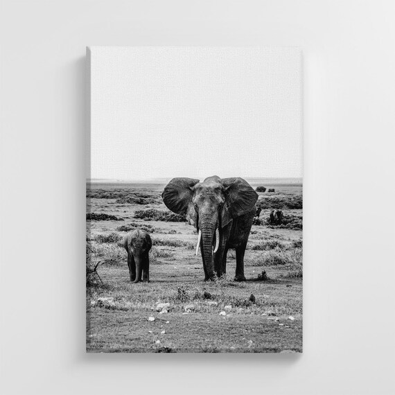 Mother and Baby Elephant Black and White Savanna Photo Poster