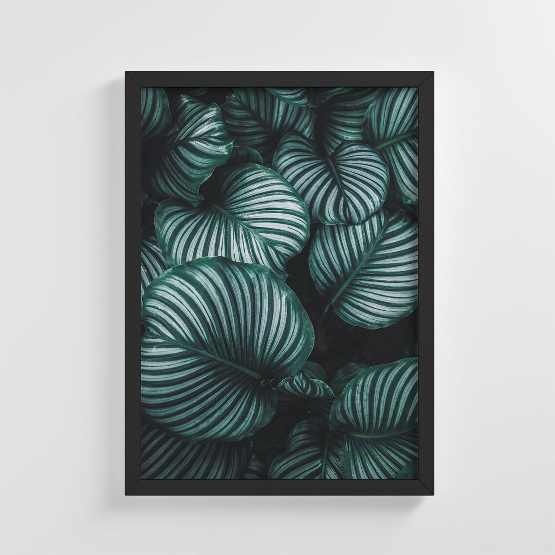 Tropical Leaf Photo, Stylish Home Decoration
