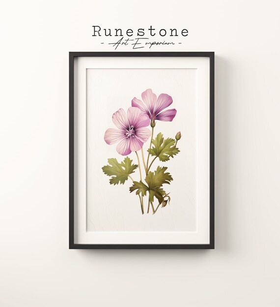 Pink Cranesbill Flower Vintage Botanical Sketch Floral Poster