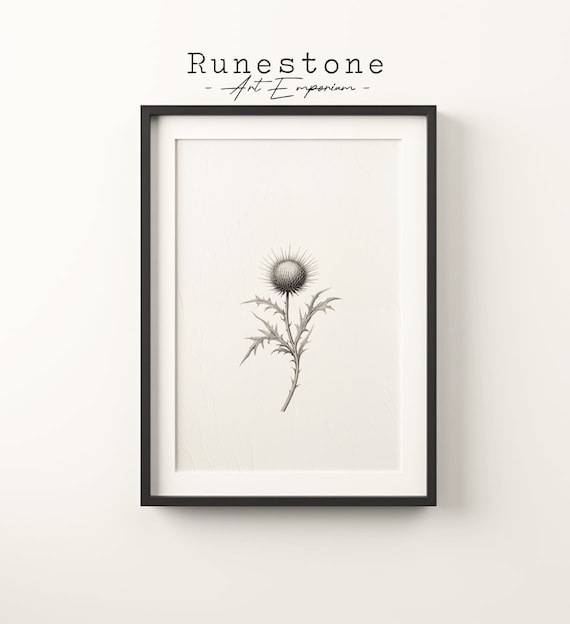 Thistle Botanical Pencil Sketch Minimalist Black and White Art Poster