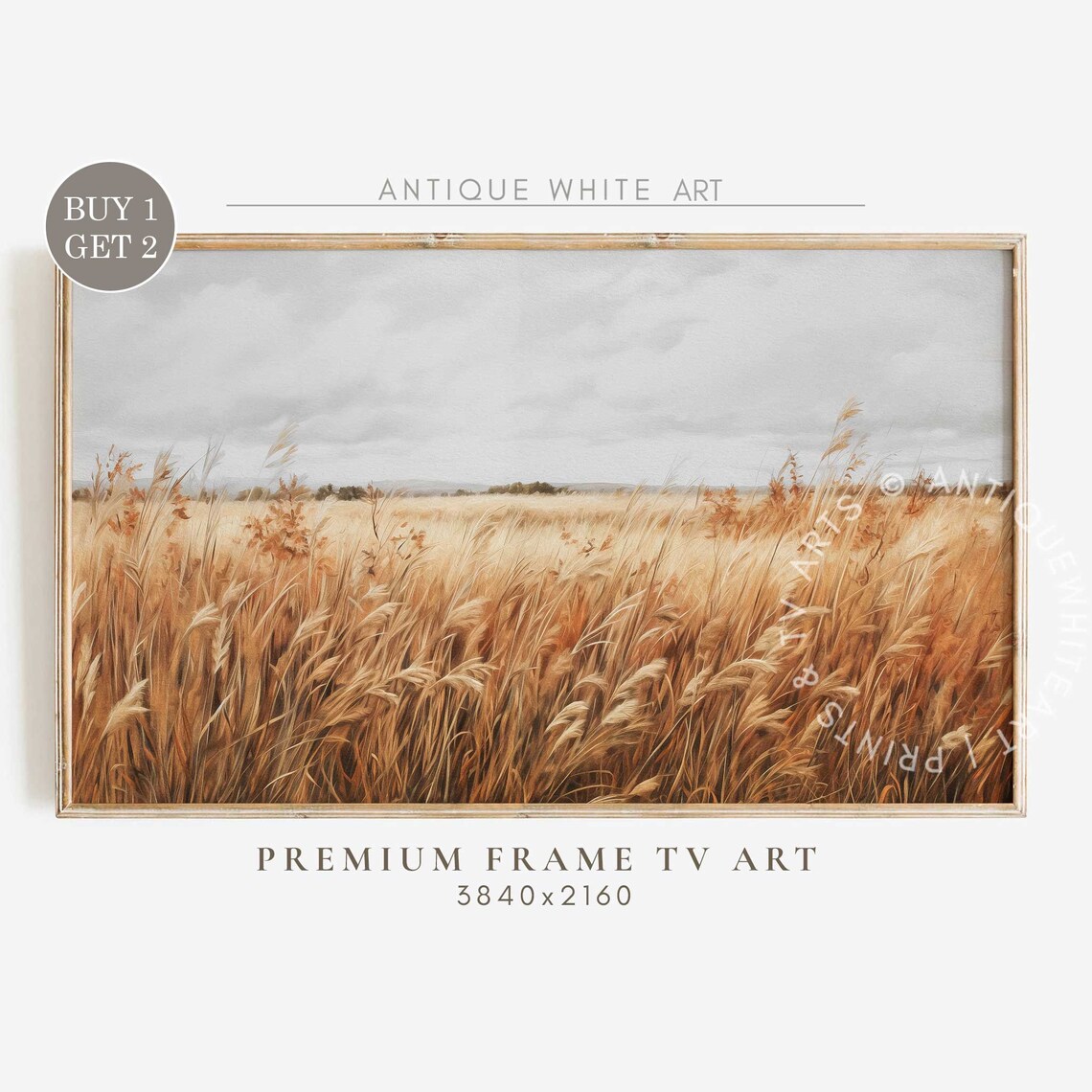 Windswept Golden Wheat Field Gray Sky Vintage Farmhouse Wall Art Print