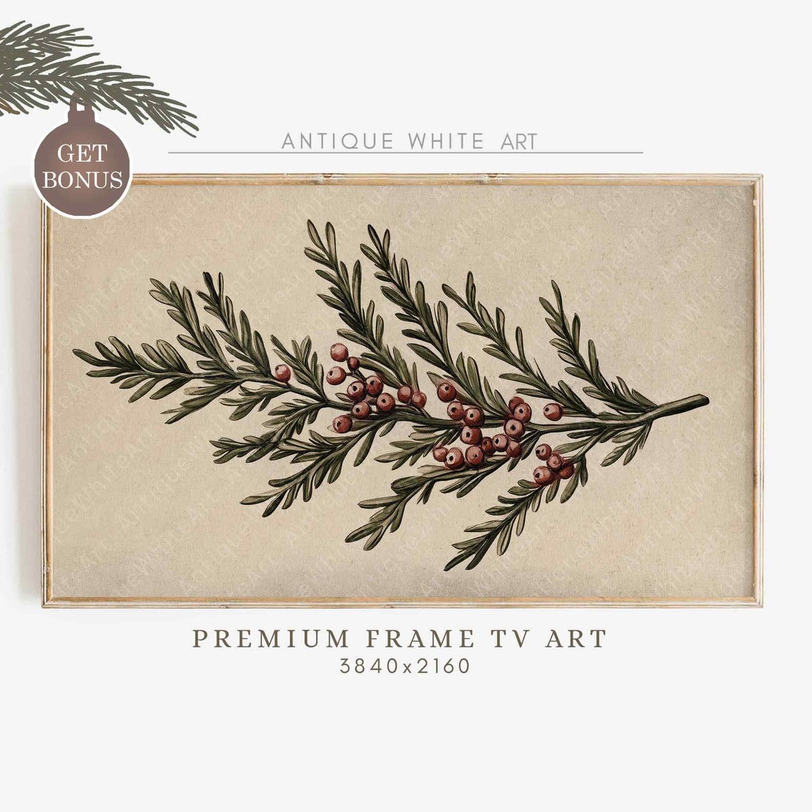 Vintage Evergreen Branch With Red Berries Botanical Wall Art