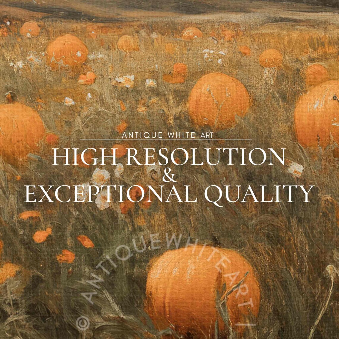 Pumpkin Patch In Wildflower Field Under Cloudy Sky Rustic Fall Harvest Art Poster - Image 3