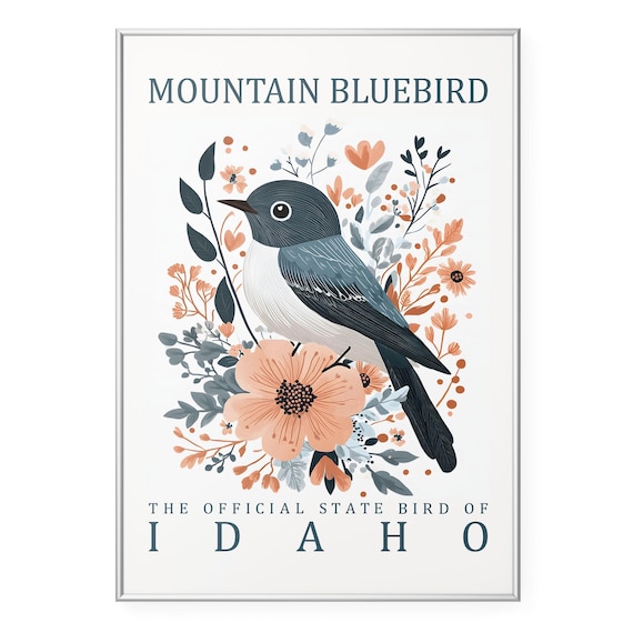 Mountain Bluebird Wall Art Print Idaho State Bird Poster Vintage Wildlife Artwork Rustic Botanical Illustration Home Decor