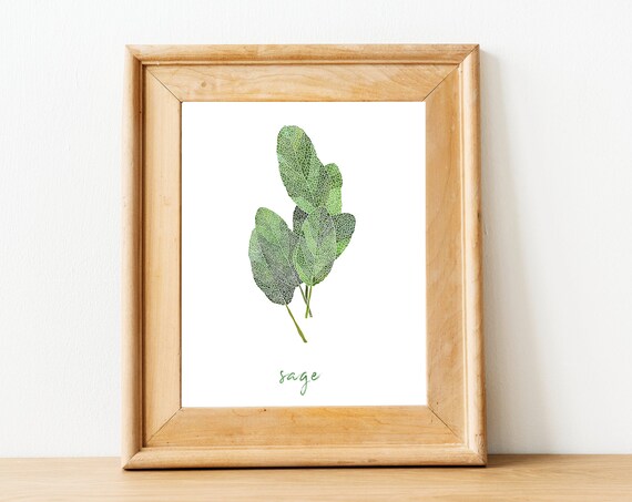 Green Sage Herb Botanical Watercolor Garden Kitchen Wall Art