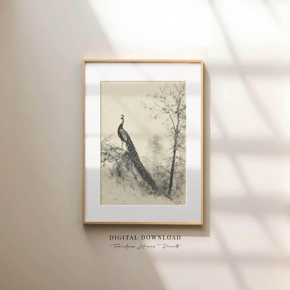 Vintage Peacock Sketch Bird Neutral Print Antique Animal Drawing Wall Art Moody Decor