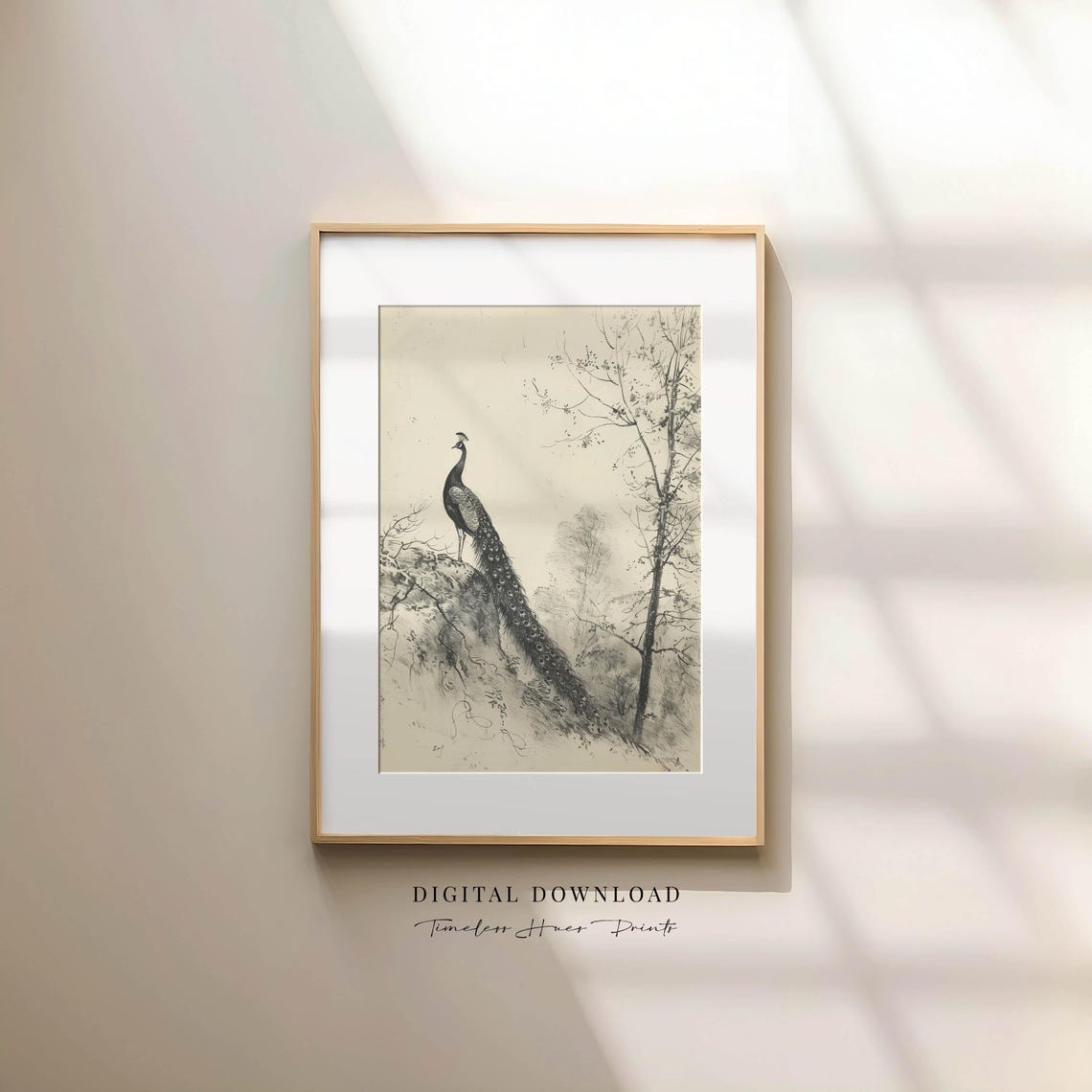 Vintage Peacock Perched On Rocky Mound Antique Sketch Wall Art