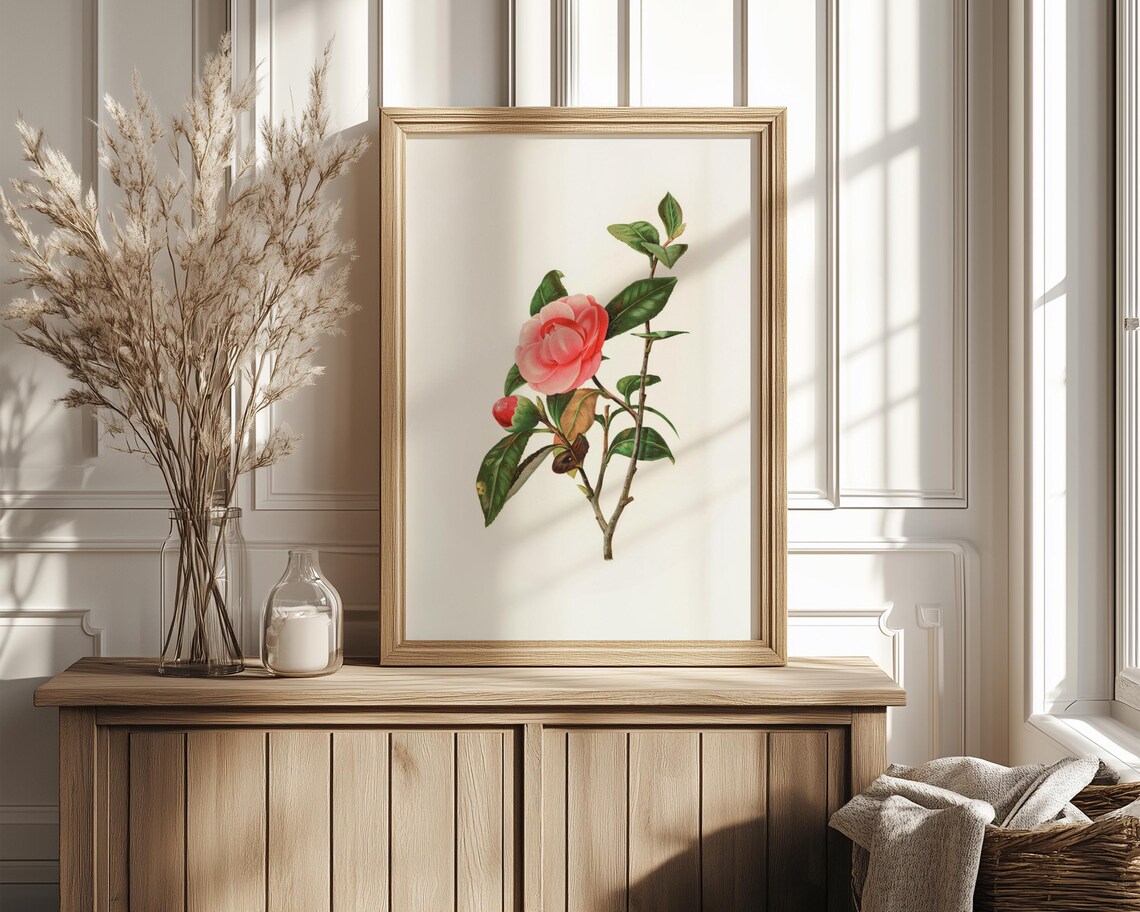 Pink Camellia Flower Branch in Fine Botanical Illustration Art Poster - Image 4