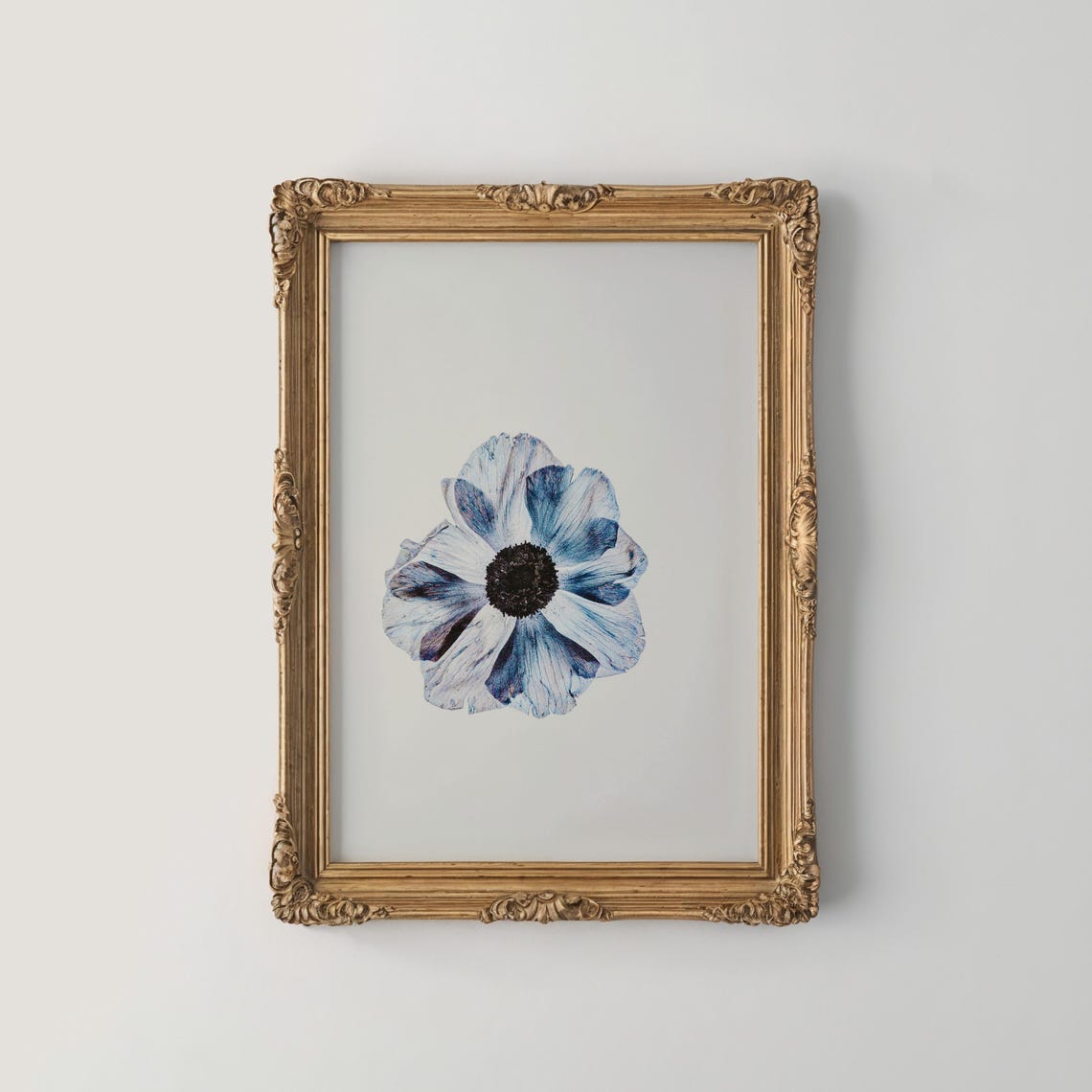 Blue Anemone Bloom Pressed Flower Style Minimal Floral Poster