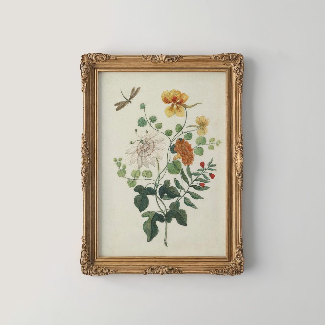 Passion Flower and Nasturtium with Dragonfly Botanical Poster