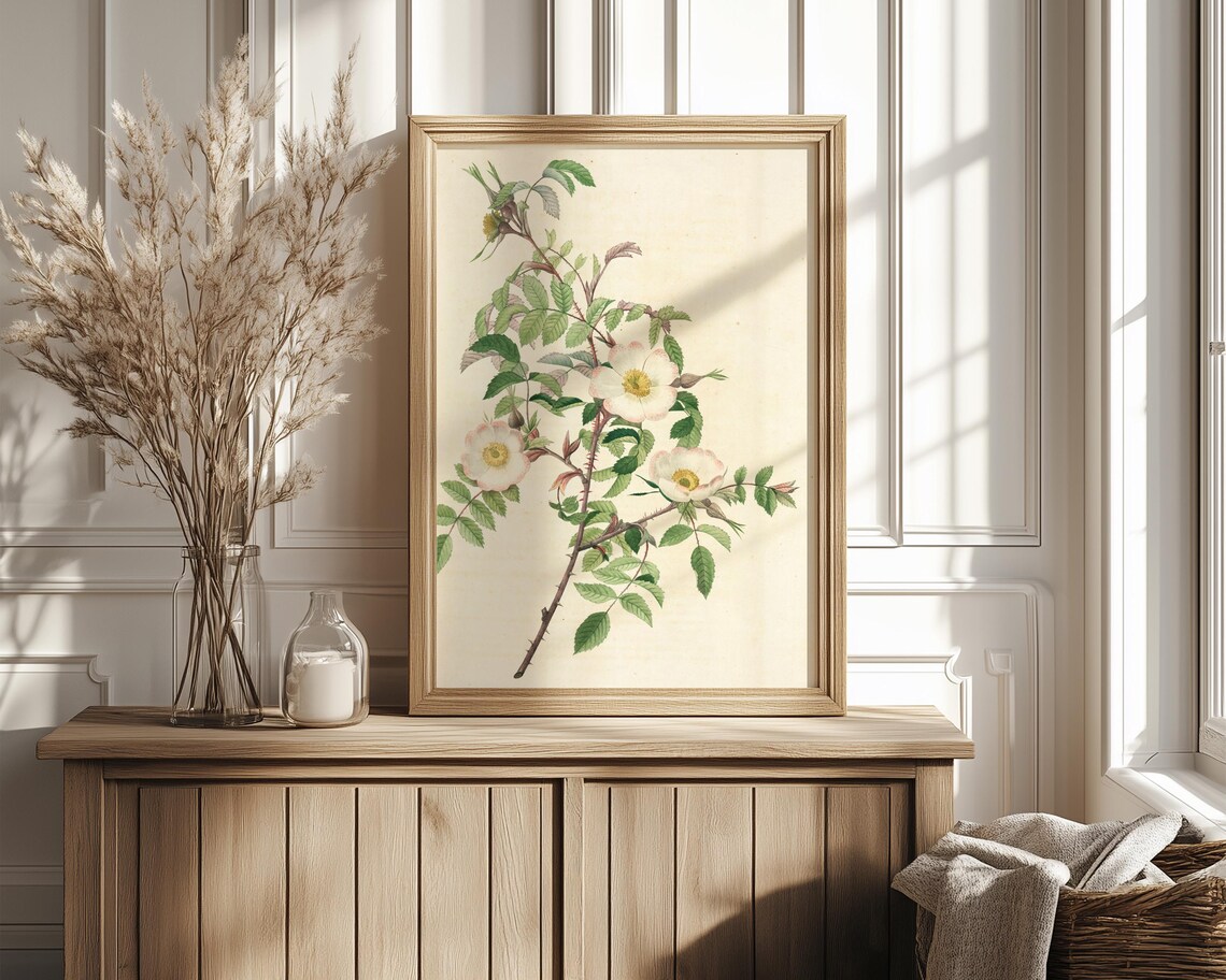 Blush Wild Rose Branch Botanical Study Vintage Floral Poster - Image 4