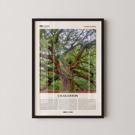 Charleston South Carolina Angel Oak Tree Lowcountry Photo Poster