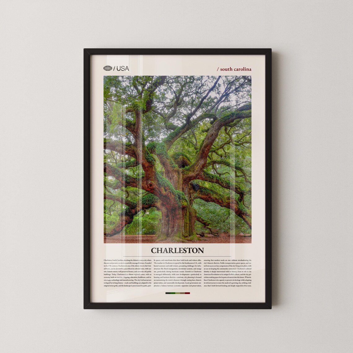 Charleston South Carolina Angel Oak Tree Lowcountry Photo Poster