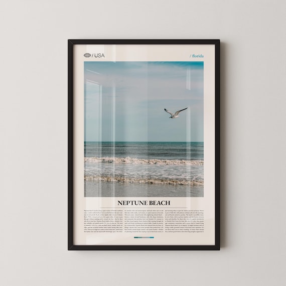 Neptune Beach Florida Seagull Ocean Photography Travel Poster