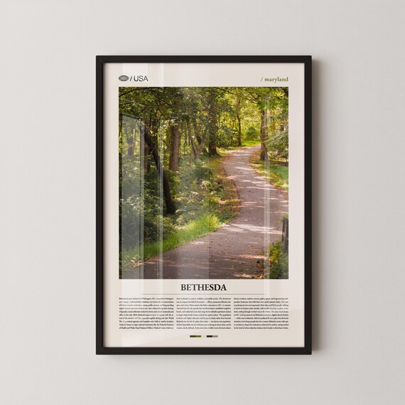 Bethesda Maryland Woodland Trail Nature Photo Travel Scenic Poster