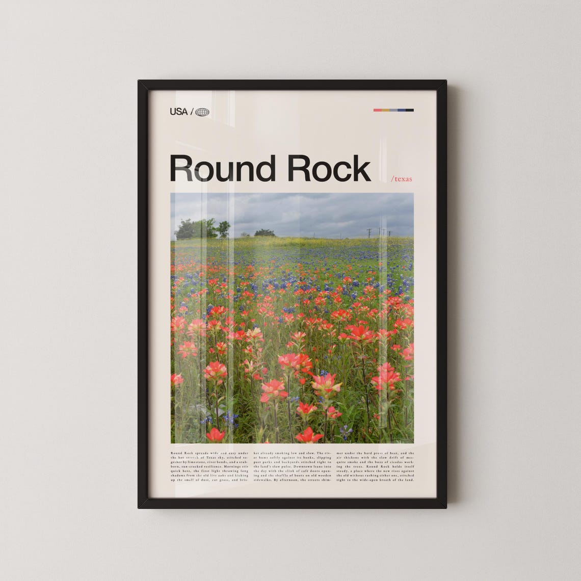 Round Rock Texas Wildflower Close Up Editorial Flower Photo Poster