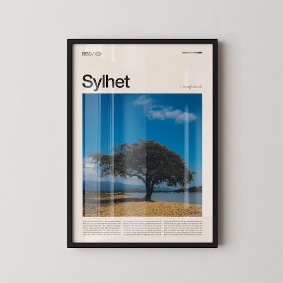 Sylhet Bangladesh Serene Lakeside Tree Under Wide Blue Sky Poster