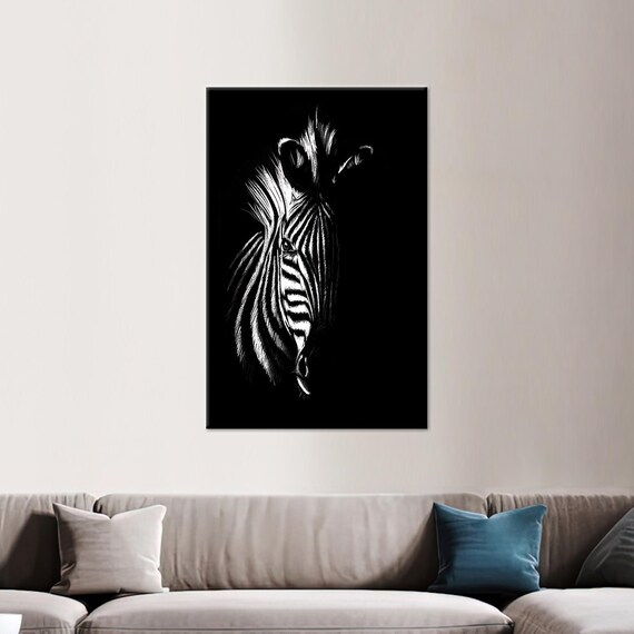 Zebra Portrait Emerging from Darkness in Black and White Poster