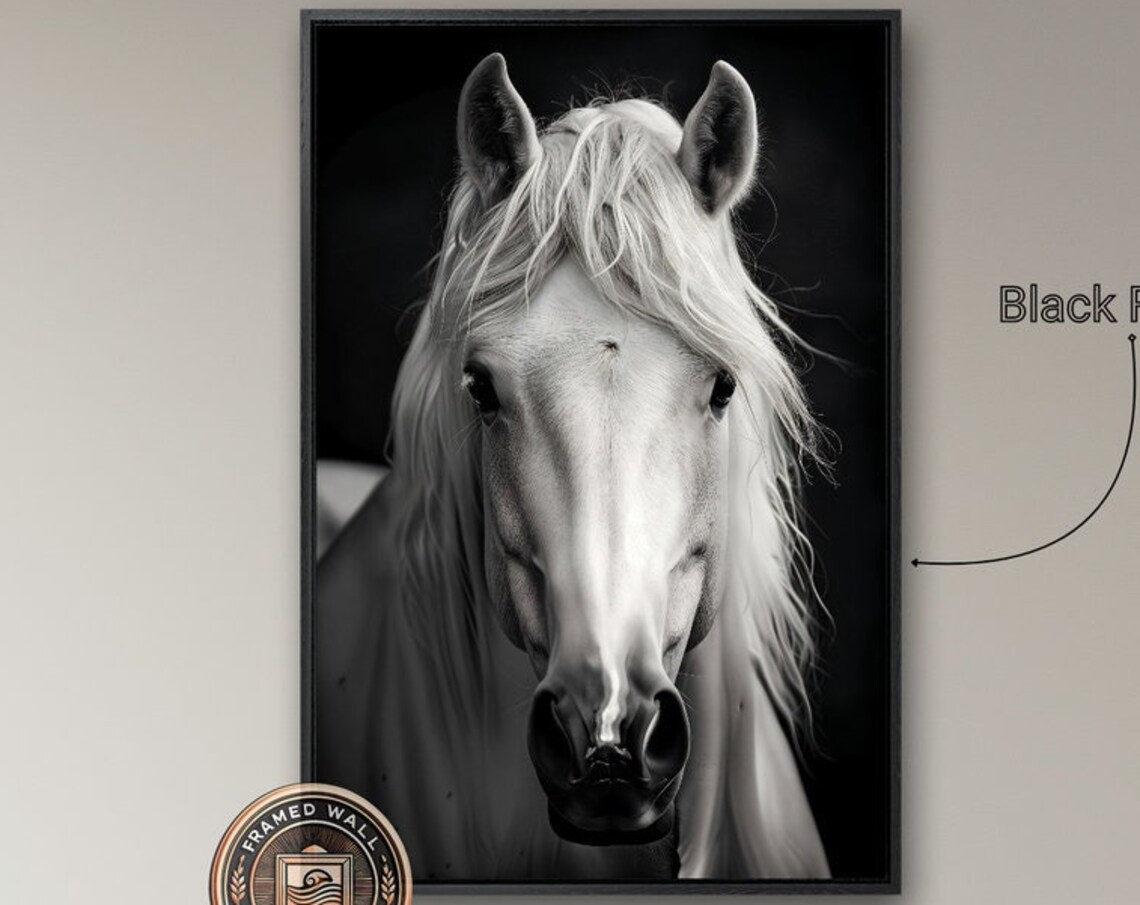 Black And White Horse Face Front Portrait Equine Photography Poster