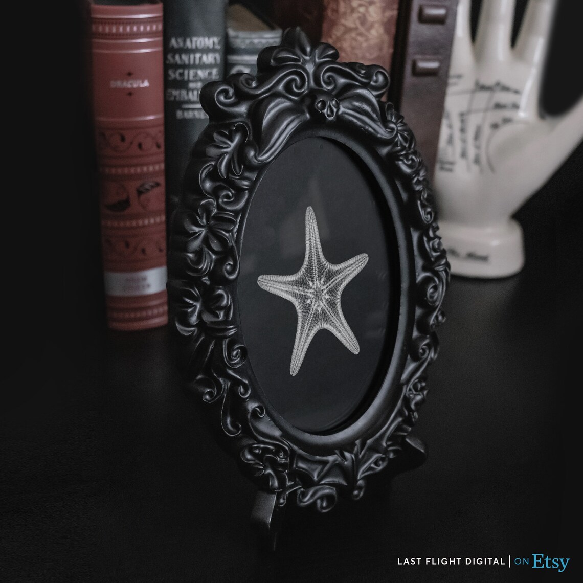 Starfish X-Ray Gothic Art Print, Black and White - Image 5