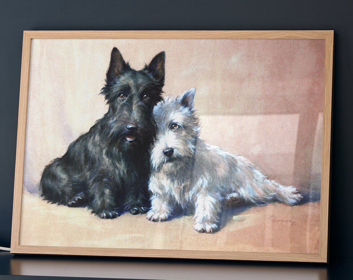 Scottish Terrier and West Highland Terrier Vintage Dog Portrait Poster - Image 3
