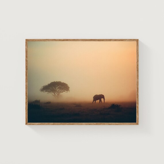 African Elephant Sunrise Print Misty Morning Savanna Fine Art