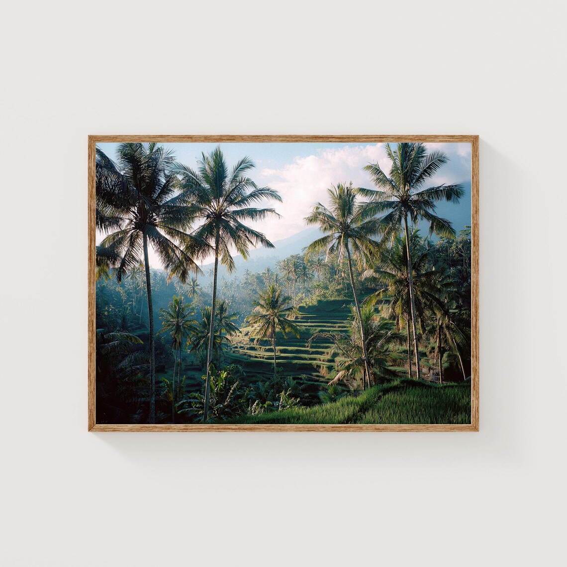 Bali Rice Terrace Palm Trees Jungle Landscape Tropical Photo Poster
