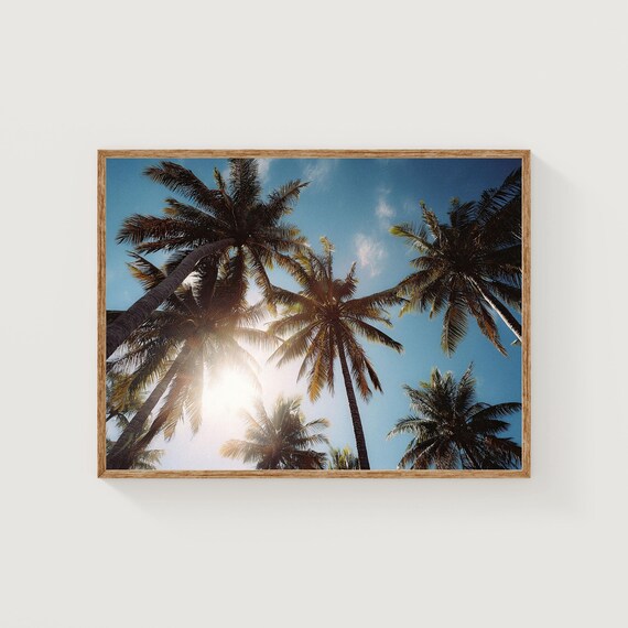 Tall Palm Trees under a Bright Blue Sky Sunlight Photography Poster