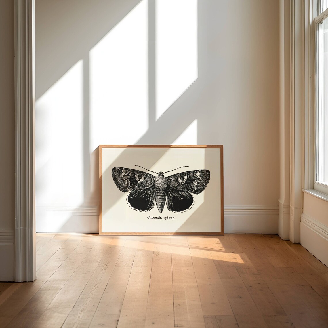 Vintage Moth Illustration Witchy Decor Art Print