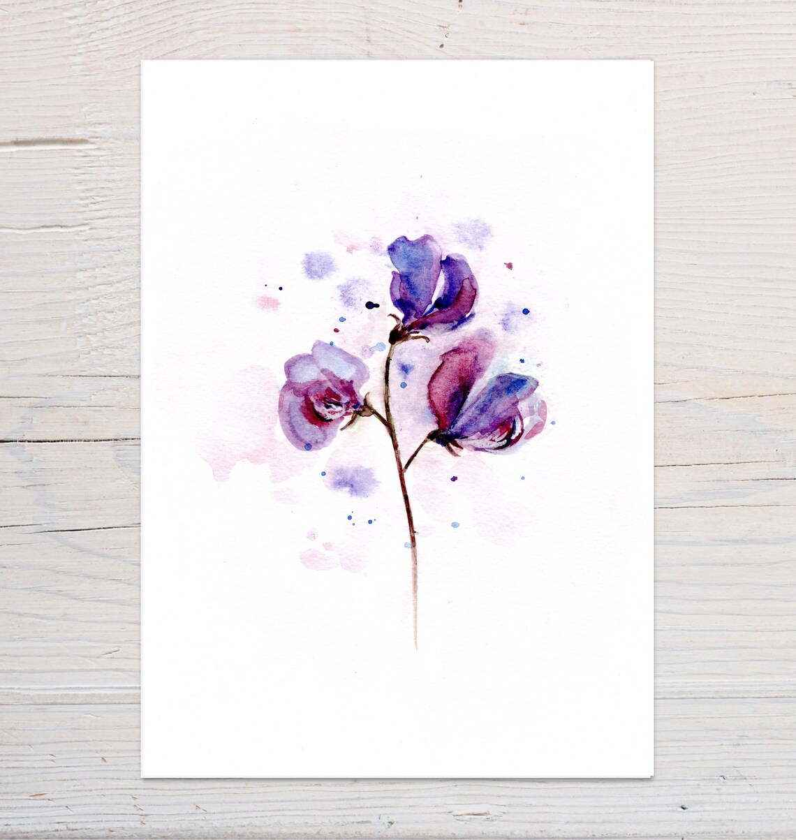 Delicate Purple Sweet Pea Blossoms Watercolour Botanical Art Print