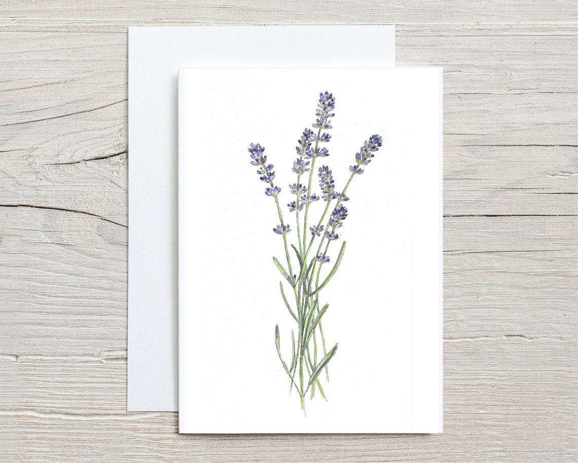 Purple Lavender Sprigs Watercolour Botanical Illustration Art Print
