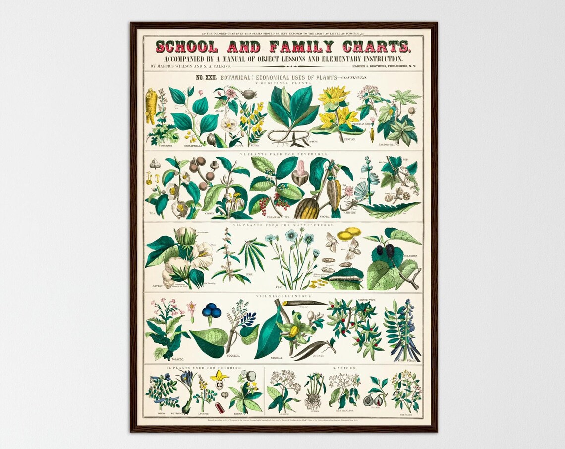 Botanical Vintage Chart Kitchen Art Print