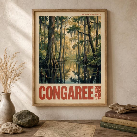 Congaree National Park Print Vintage South Carolina American Travel Poster