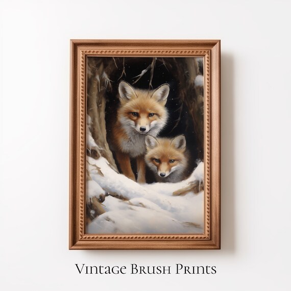 Red Fox Family Peeking From Snowy Hollow Winter Wildlife Poster