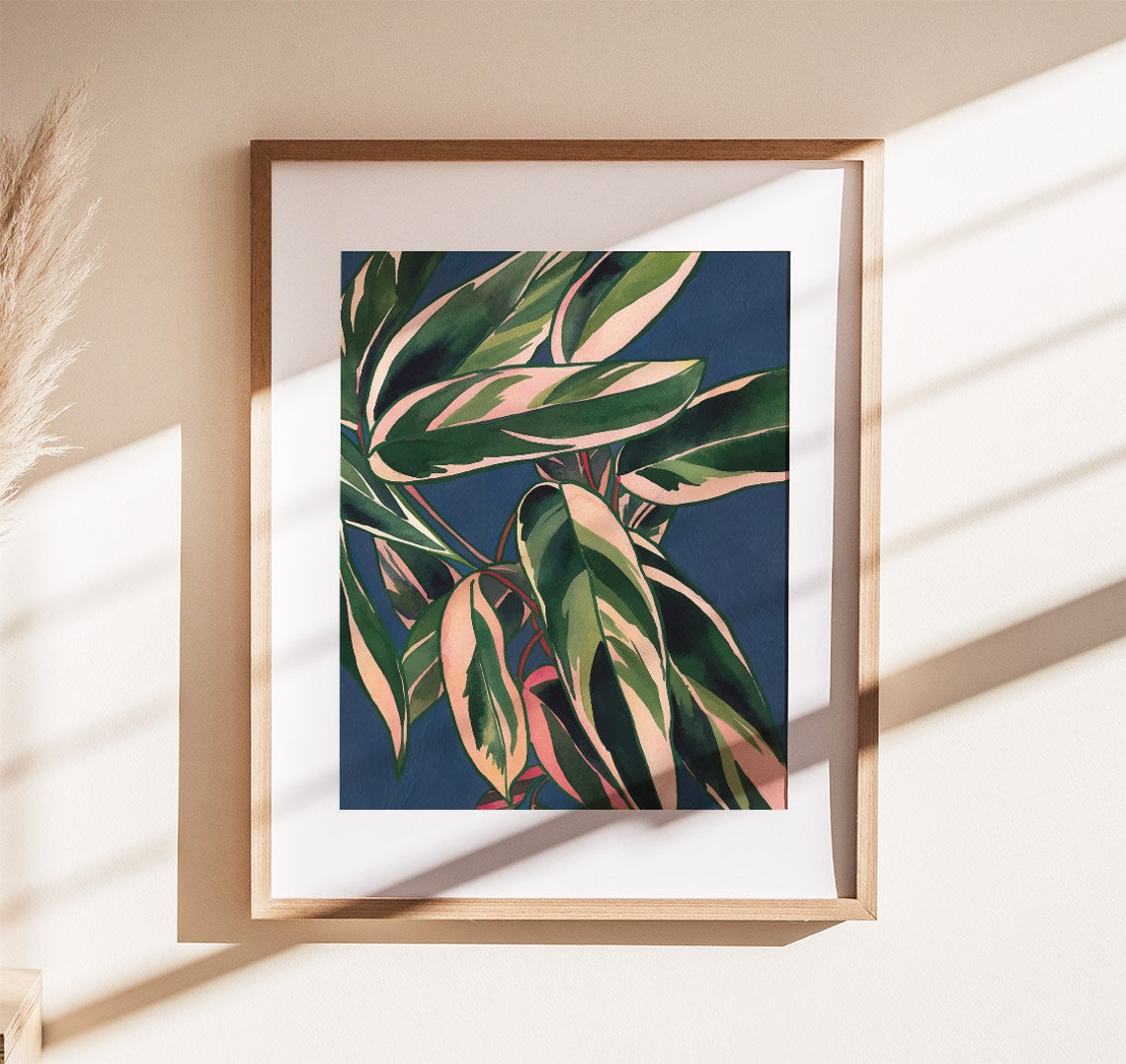 Calathea Triostar Pink And Green Leaves Navy Botanical Poster - Image 2