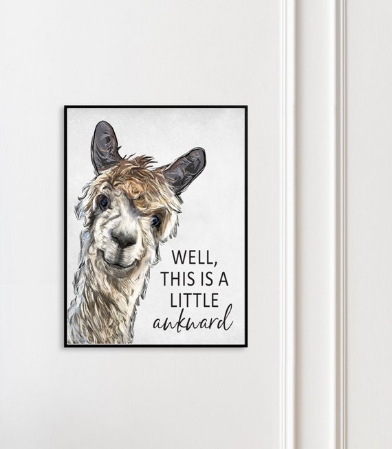 Llama A Little Awkward Funny Bathroom Art Print