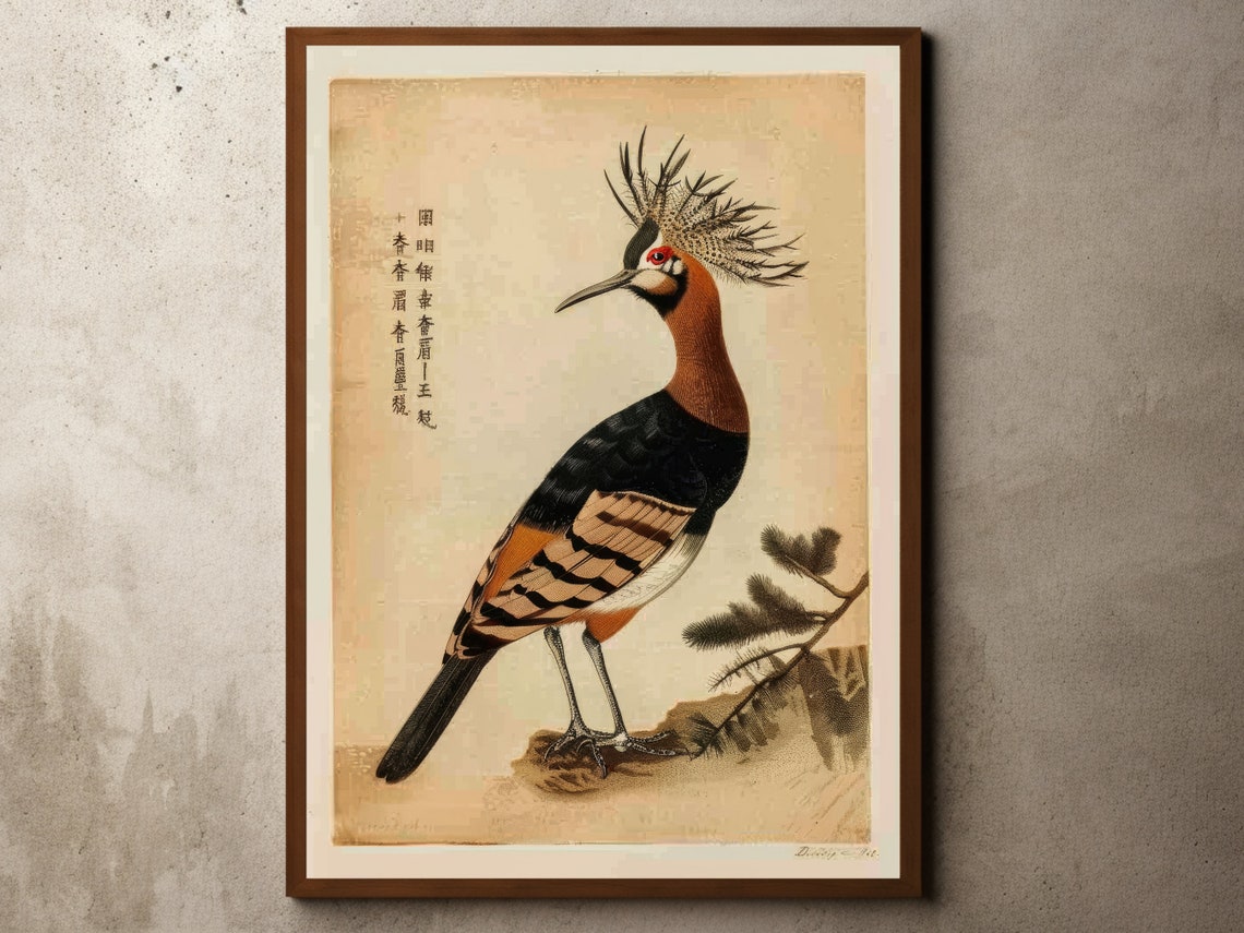 Vintage Crested Hoopoe Antique Japanese Bird Illustration Poster