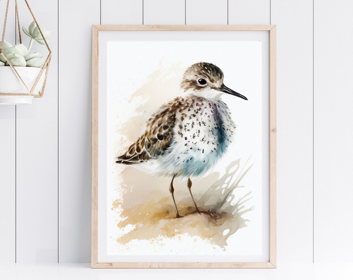 Speckled Sandpiper Shorebird Watercolor Coastal Bird Painting Poster - Image 4